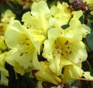 ~jVNiQ@N\}jJ@c؁@4.5(J07)