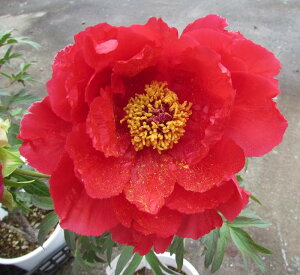 {^(O)@c؁@V iVWcQcjVLj 7