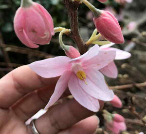 yizփGSmL Ifh@c؁@1.6my21613z