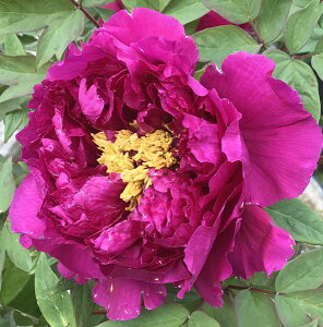 {^(O)@c؁@b(V}_CW)@7