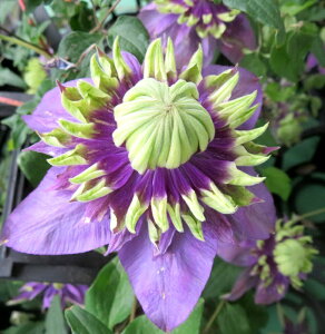 lG炫N}`X@ (^CK)@3.5c