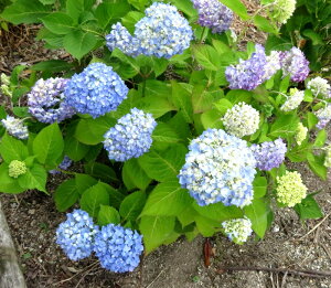 i@AWTC GhXT}[ 劔@cy25NInAz(ho)