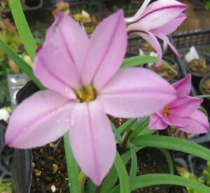 u3vnij@sNX^[@|bgc(d15)