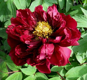 yԏIz{^(O) @c؁@(RN`E)@7