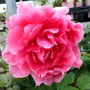 {^(O)@c؁@V_iVV`tNWj@7