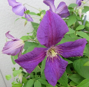 N}`X@|bVXsbg@6(c06c11)