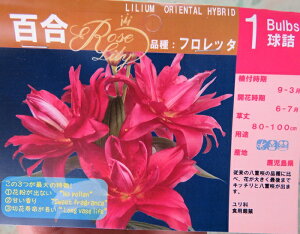 @d炫nCubh[utb^v@3c(d07)