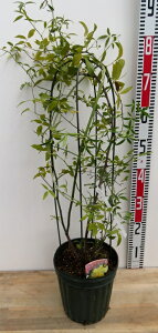 bREo@d@6|xdāyI[h[Yz