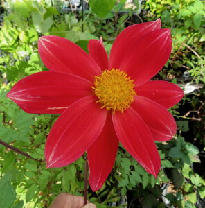 _A nCubh Kbc@A@bh4.5|bgc