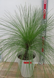 yiz剤i_CIEVEj@c؁@7A403