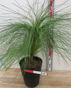 yiz剤i_CIEVEj@c؁@7A402