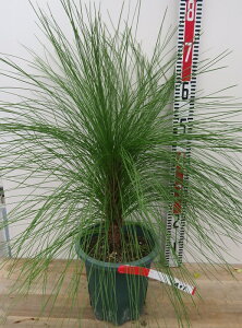 yiz剤i_CIEVEj@c؁@7A401