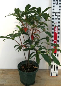 ccW@ZCVJiԁjsN@5c(g05)