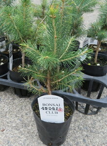 hCcgEqi[bpg[q)@3.5|bgc