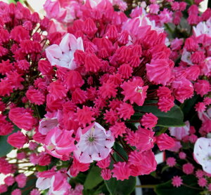 J~A@IX{bh c؁@3.5(i04)