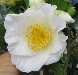 yiM3217zցicoLj@Vi{eWj5@c؁ig05-1j