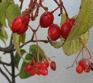 tEK}Y~iK}Y~j 6|bgc(e07)