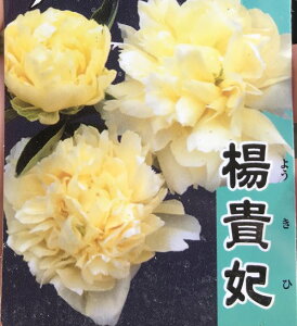 䉖iVNNj@kM܁iELqj6c