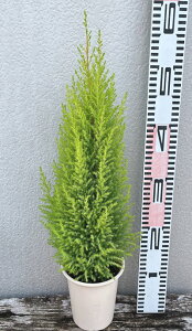 Rjt@[@S[hNXg@EB} @4Ac