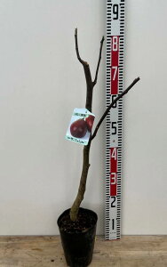 C`WNcuT~bVFv@6@c؁iv23j