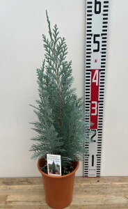 Rjt@[@RiXOEJ@4A@c؁iJ05j