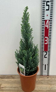 Rjt@[@GEbY@GpC@4A@c(J02)