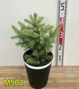 yIׂ錻izsZAEvQXgEq@X[p[u[@c؁@6ZA[gA