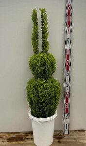 yiM3228zRjt@[@S[hNXg@EC}@gsA[uETMv8A