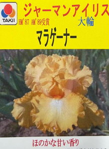 y@Iׂ10zW[}ACX @3.5|bgc