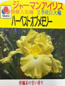 【人気品種 選べる14種】ジャーマンアイリス 3.5号ポット苗