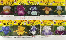 【芳香種　選べる10種】ジャーマンアイリス　3.5号ポット苗()
