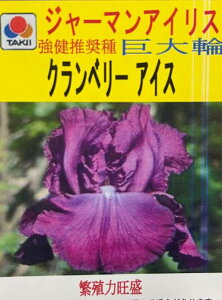 【大輪種 選べる11種】ジャーマンアイリス 3.5号ポット苗(e03)