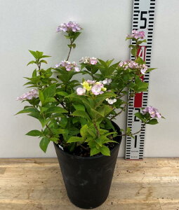 yOǗczOWA@NX^F[@6ZA[gAid14j