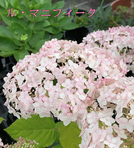 y3ނIԁzAWTC ViAix V[Y@3.5cy25N׊z