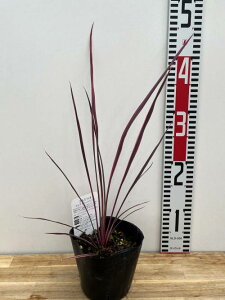 hZiERWlEGNgbNsN@4c(b01-2)