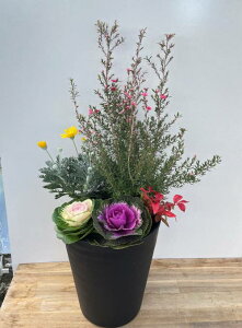 yƎނőIԁzMEoCƃn{^̓~̋G߂̊񂹐A@@ZA[gA