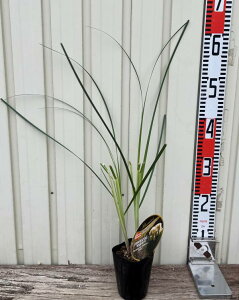 ␫ppXOX@Gr[^@4|bgc(J09)