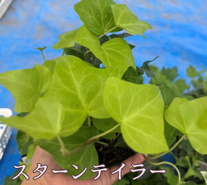 y7킩Iԁzwf(ACr[)@3cih27j