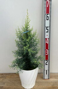 NvbTX A]jJ@ TtA@6Ac@Rjt@[iJ05j