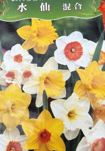 y~bNX10ziXCZjis~bNX@10