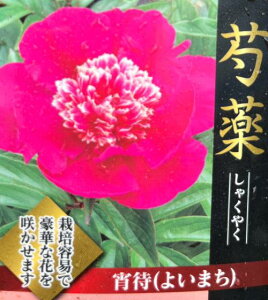 VNN(䉖)@ҁiC}`j5c(b)