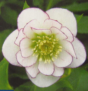 NX}X[Y@_u炫@zCgsReB@3c@c