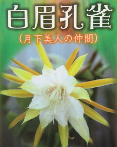 liQbJrWjEinNrNWNj5@(h28)