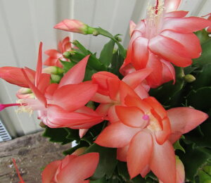 VRoT{eiutT{ej@t[_@5A (h28)