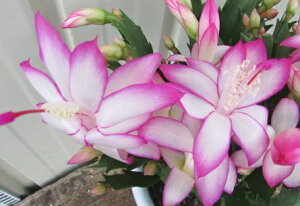 VRoT{eiutT{ejJ~[@6A (h28)