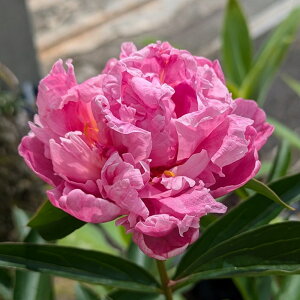 䉖iVNNj@hN^[AbNXt~O@6c