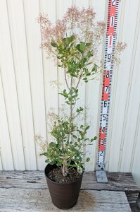 X[Nc[@xXgsN@c @8tO[A