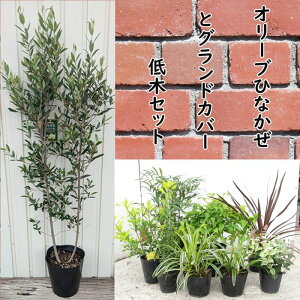 IׂV{c[ƃOhJo[؃Zbgy|엿tzyV}glR/΃}{EV/AI_/hE_ccW/V(ie)/I[uz