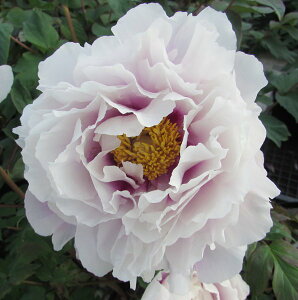 {^(O)@c؁@VΊ(jCK^AJVK^)@7