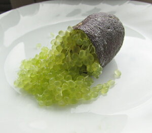 tBK[C@_[Gh@ڂؕc@3.5@H^Cv@c